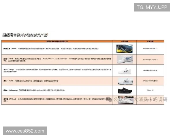 球鞋二级市场风云变幻与投资收藏新趋势解析及消费文化深度观察 - 副本 (4)