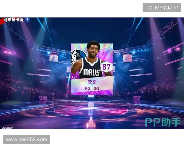 聚焦NBA总决赛巅峰对决与王朝荣耀新篇章激荡时代风云再起征程 - 副本 (3) - 副本