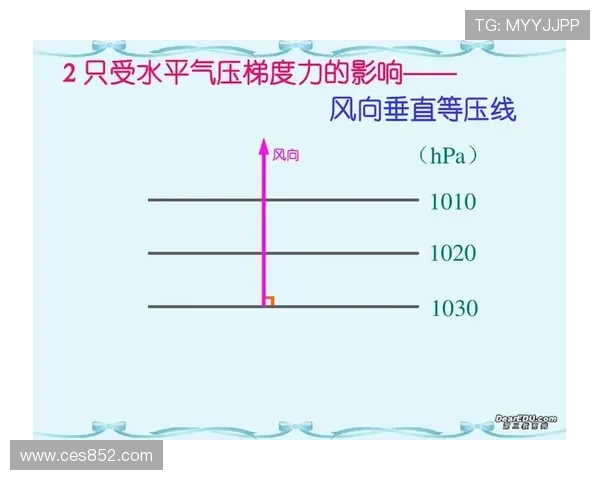 聚焦全球体育赛事成绩表现与竞技趋势年度综合盘点分析报告解读 - 副本 - 副本 (4)