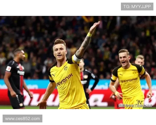 德甲赛事全面导航平台实时比分赛程分析指南 德甲赛事全面导航平台实时比分赛程分析指南